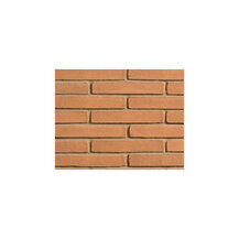 E363400030 Fasadna opeka CLASSICO ROSSO 5,5 x 12 x 25 1 paleta = 357 kom. Art. FN21C10510 Terreal SanMarco