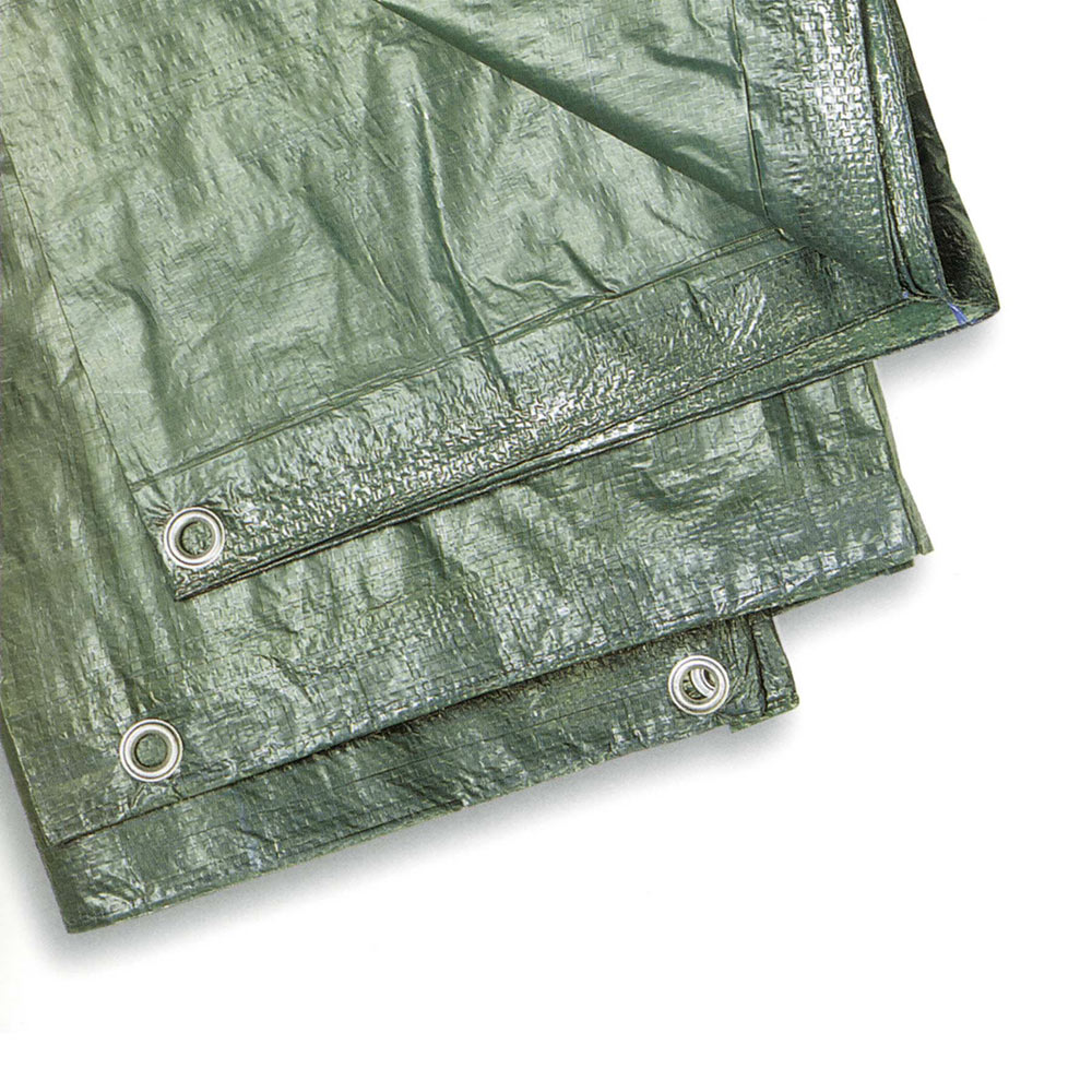 F302419304 CERADA S UŠICAMA ZELENA 200/210 g/m2 mjere 4 x 6 m art.19304 Cenigomma