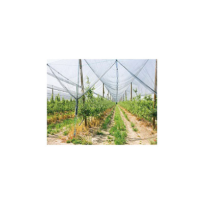 F304641088 MREŽA PROTIV TUČE od 4 x 10 m Art. 91984 Cenigomma