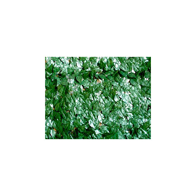 F36470038 Art. 790/7 UMJETNA ŽIVICA ZIMZELENA LIST LOVORA od poliestera mjere 1,5 x 3 m Biacchi